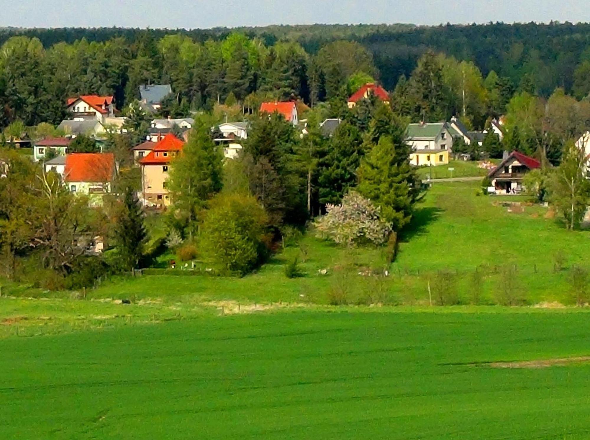 Ferienwohnung Deutschmann Dahlen エクステリア 写真