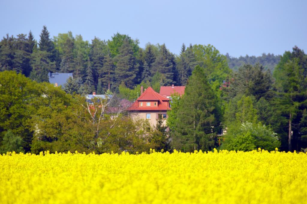 Ferienwohnung Deutschmann Dahlen 部屋 写真