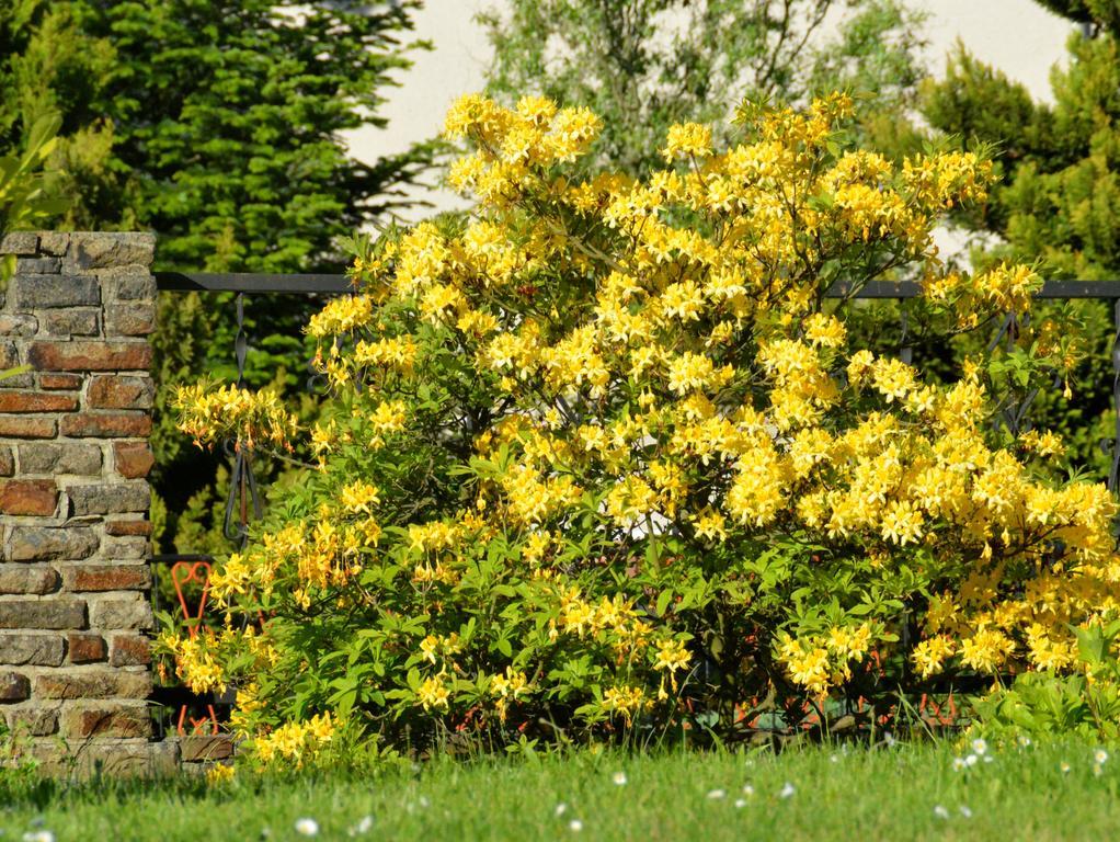 Ferienwohnung Deutschmann Dahlen 部屋 写真
