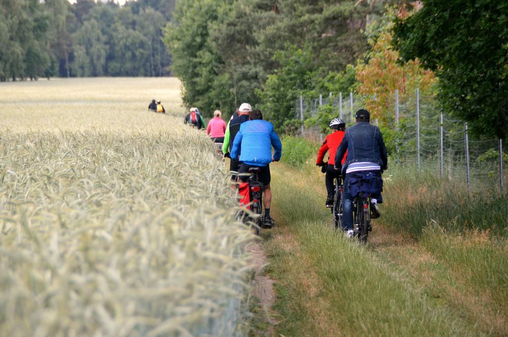 Ferienwohnung Deutschmann Dahlen エクステリア 写真