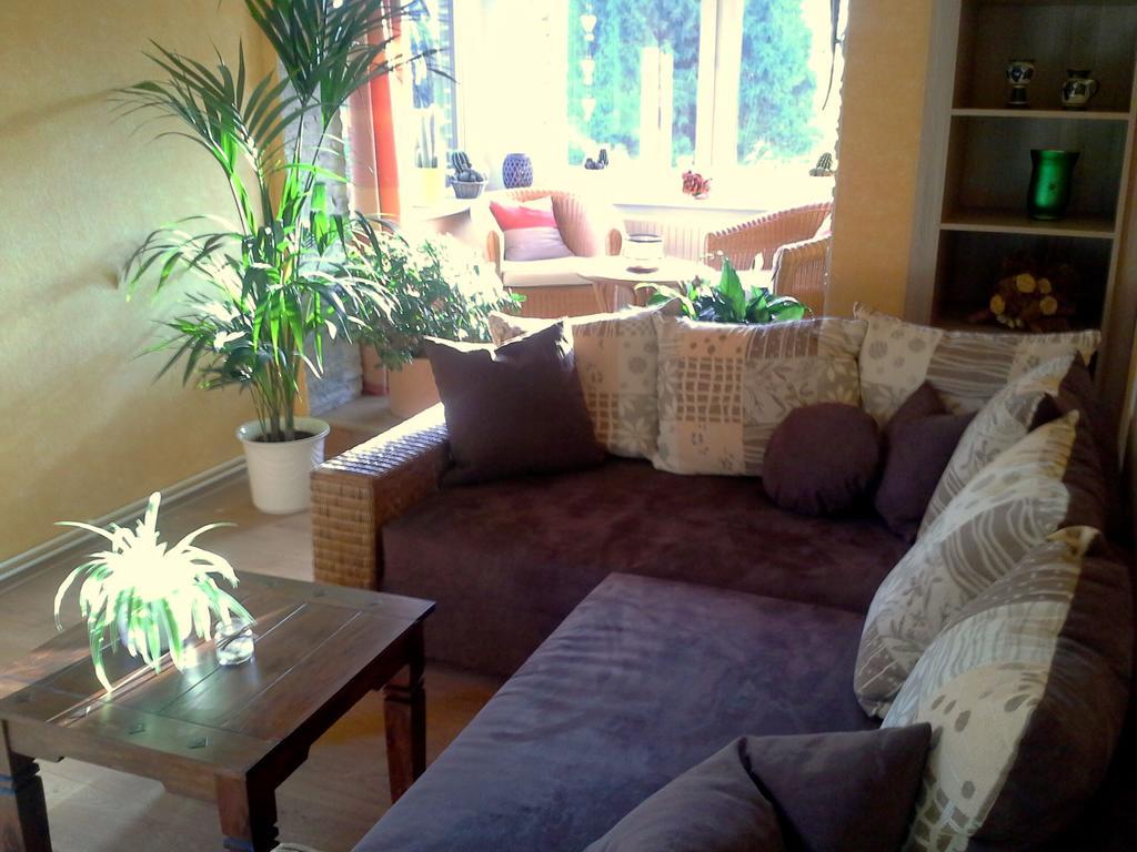 Ferienwohnung Deutschmann Dahlen エクステリア 写真