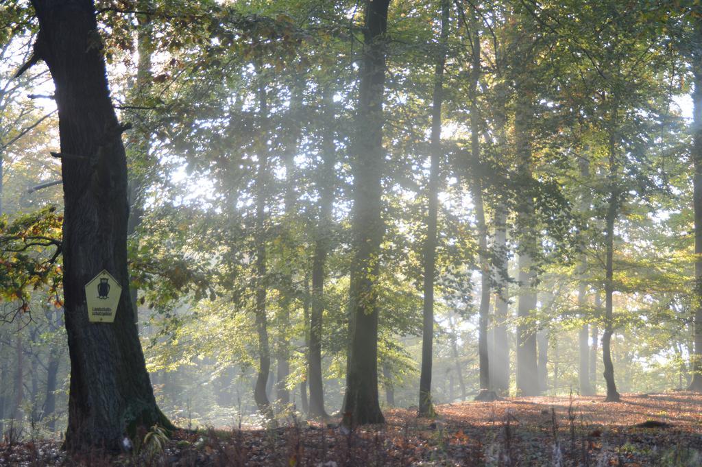 Ferienwohnung Deutschmann Dahlen エクステリア 写真
